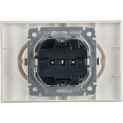 Розетка с/у 2x2P+Е 16A, IP20, в сборе, IEK BRITE [BR-R21-16-K36-F] жемчуг