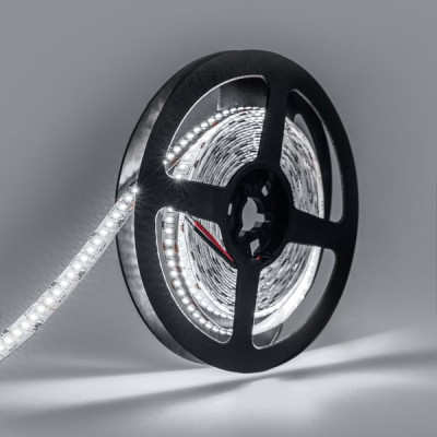 Лента LED 24В IP20 SMD3014 240/м, б/хол, 24Вт/м, 6000K, 2400Лм/м, 5м/ц.1м, Eleganz LUX [EL-24V-24W]