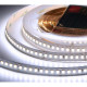 Лента LED 24В IP20 SMD2835 176/м, б/хол, 16Вт/м, 6500-7000K, 5м/ц.1м ELF PRO [ELFLED-24176-PRO140w]