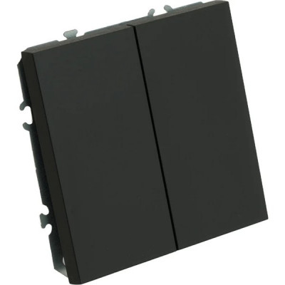 Выключатель с/у 2-кл 10А, IP20, STEKKER Эмили [RSW10-5104-05] черный уголь soft touch