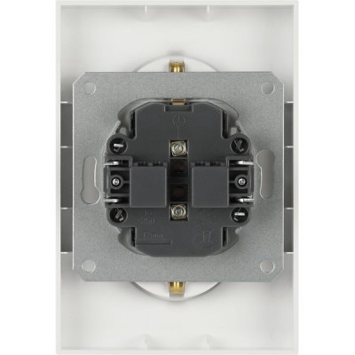 Розетка с/у 2x2P+E 16A, ЭРА Arktik [16-2104-04] шампань