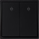 Переключатель с/у 2-кл 10А, IP20, Smartbuy Капелла [SBE-09b-10-SW22-0] черный soft touch