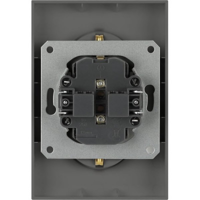 Розетка с/у 2x2P+E 16A, ЭРА Arktik [16-2104-06] графит