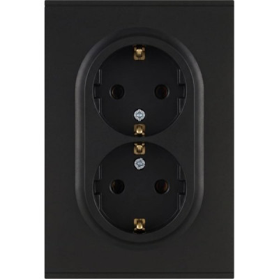 Розетка с/у 2x2P+E 16A, ЭРА Arktik [16-2104-05] антрацит