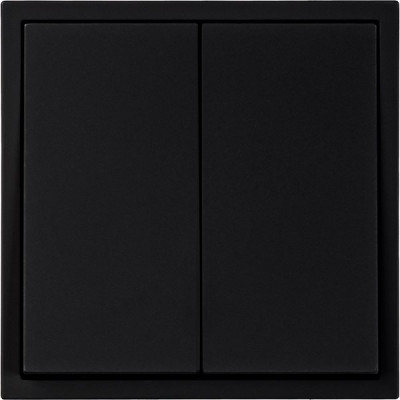 Выключатель с/у 2-кл 10А, IP20, Smartbuy Капелла [SBE-09b-10-SW2-0] черный soft touch