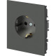 Розетка с/у 2P+E 16A, ЭРА Arktik [16-2101-06] графит