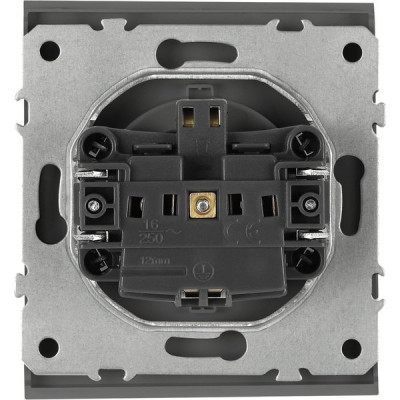 Розетка с/у 2P+E 16A, ЭРА Arktik [16-2101-06] графит