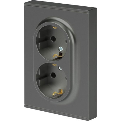 Розетка с/у 2x2P+E 16A, со шторками, ЭРА Arktik [16-2105-06] графит