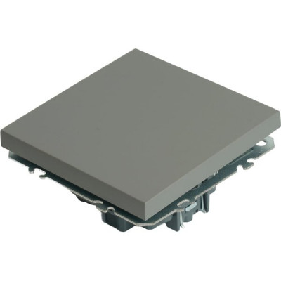 Переключатель с/у 1-кл 10А, STEKKER Эмили [RSW10-5105-10] платиново-серый soft touch