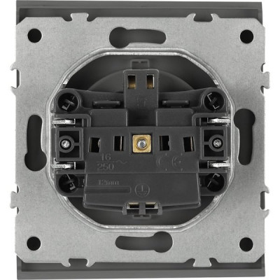 Розетка с/у 2P+E 16A, со шторками, ЭРА Arktik [16-2102-06] графит