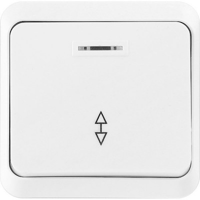 Переключатель о/у 1-кл 10А, с подсветкой, SmartBuy Юпитер [SBE-03w-10-SW12-1] белый