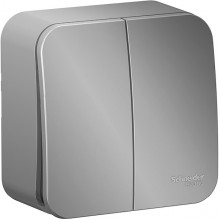 Выключатель о/у 2-кл 10А, изол.пл., Schneider Electric Blanca [BLNVA105013] алюминий