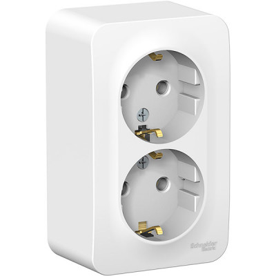 Розетка о/у 2x2P+E 16А, Schneider Electric Blanca [BLNRA010201] белый [8/48]