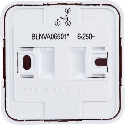 Выключатель о/у 2-кл  6А, изол.пл., Schneider Electric Blanca [BLNVA065011] белый