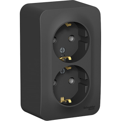 Розетка о/у 2x2P+E 16А, изол.пл., Schneider Electric Blanca [BLNRA010216] антрацит 