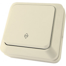 Переключатель о/у 1-кл 10А, IP20, TDM Ладога [SQ1801-0006] сл. кость