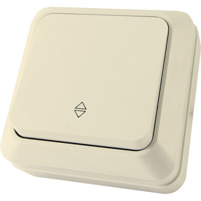 Переключатель о/у 1-кл 10А, IP20, TDM Ладога [SQ1801-0006] сл. кость