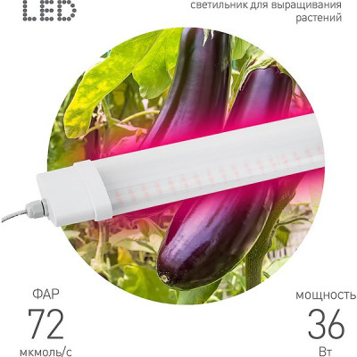 Светильник LED ФИТО 36W, 1200К, 1234*77.2*39.2, IP65, 72 мкмоль/с, ЭРА [FITO-36W-RB-N]