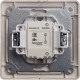Выключатель с/у 1-кл 10А, в сборе, Schneider Electric Glossa [GSL001212] платина