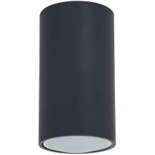 Светильник накладной 1xGU10 MAX50W, IP20, d55*100, ЭРА [OL15 GU10 DG] темно-серый