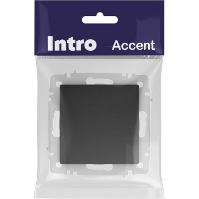 Переключатель с/у 1-кл 10А, IP20, Intro Accent [6-103-05] антрацит