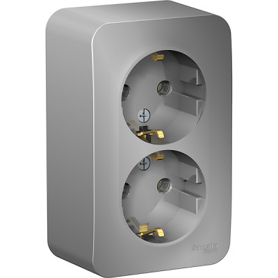 Розетка о/у 2x2P+E 16А, изол.пл., Schneider Electric Blanca [BLNRA010213] алюминий 