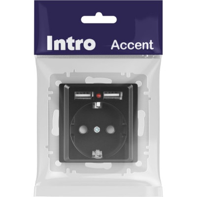 Розетка с/у 2P+E 16А, IP20, со шторками +2xUSB, Intro Accent [6-410-05] антрацит