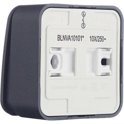 Выключатель о/у 1-кл 10А, изол.пл., Schneider Electric Blanca [BLNVA101016] антрацит