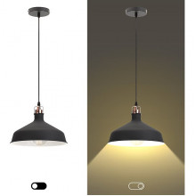 Светильник подвесной 1*E27*60W, металл, d300*1000, ЭРА LOFT [PL2 BK/RC] шагрень черный/медь 