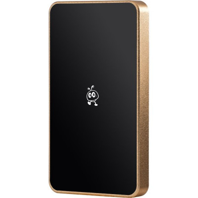 Накопитель SSD внешний 256Gb SmartBuy P5 Pro, champagne, USB 3.2 [SBD256P5CU3C]