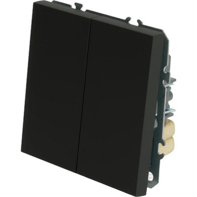 Переключатель с/у 2-кл 10А, STEKKER Эмили [RSW10-5107-05] черный уголь soft touch