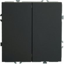 Переключатель с/у 2-кл 10А, STEKKER Эмили [RSW10-5107-05] черный уголь soft touch