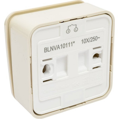 Выключатель о/у 1-кл 10А, с подсв., изол.пл., Schneider Electric Blanca [BLNVA101112] молочный