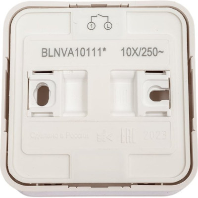 Переключатель о/у 1-кл 10А, с подсв., изол.пл., Schneider Electric Blanca [BLNVA106112] молочный