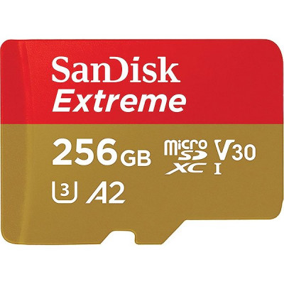 Карта памяти Micro SDXC 256GB SanDisk без адаптера Class 10 UHS-I A2 C10 V30 U3 [SDSQXAV-256G-GN6MN]