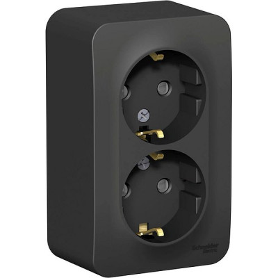 Розетка о/у 2x2P+E 16А, со шторками, изол.пл., Schneider Electric Blanca [BLNRA011216] антрацит
