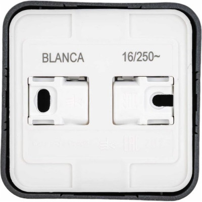 Розетка о/у 2P 16А, изол.пл., Schneider Electric Blanca [BLNRA000116] антрацит