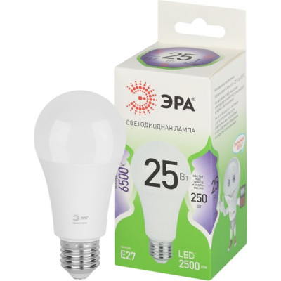 Лампа LED E27/A60 груша, 25W, 6500K, 2500Лм, ЭРА GL [LED A60-25W-865-E27 GL]